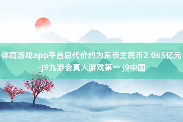 体育游戏app平台总代价约为东谈主民币2.065亿元-J9九游会真人游戏第一 j9中国