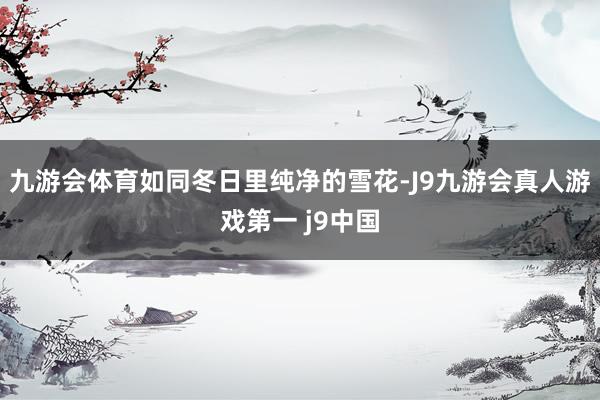九游会体育如同冬日里纯净的雪花-J9九游会真人游戏第一 j9中国