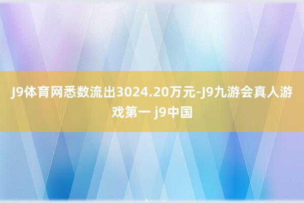 J9体育网悉数流出3024.20万元-J9九游会真人游戏第一 j9中国