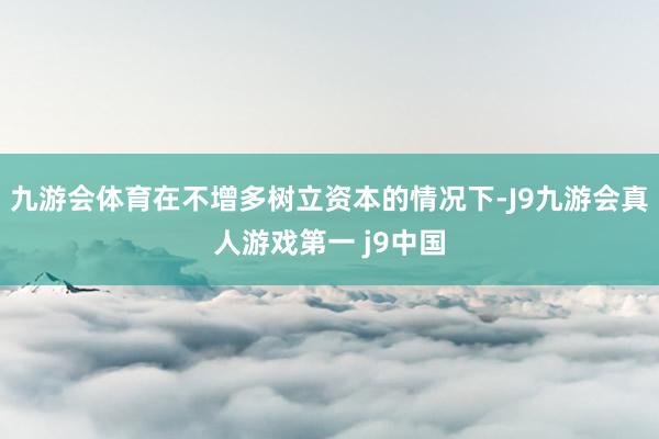 九游会体育在不增多树立资本的情况下-J9九游会真人游戏第一 j9中国