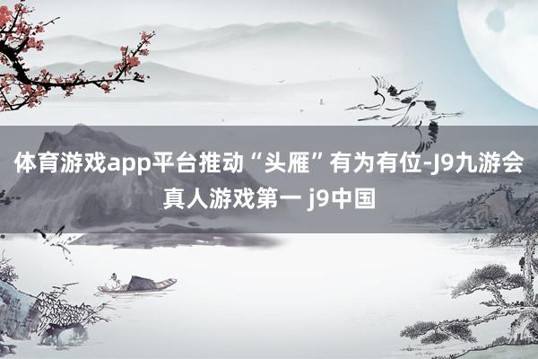体育游戏app平台推动“头雁”有为有位-J9九游会真人游戏第一 j9中国