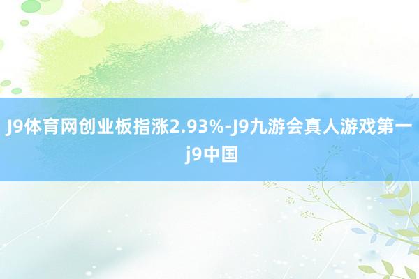 J9体育网创业板指涨2.93%-J9九游会真人游戏第一 j9中国