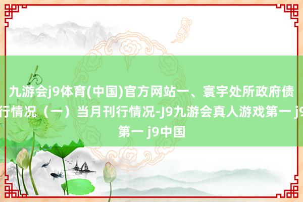 九游会j9体育(中国)官方网站一、寰宇处所政府债券刊行情况（一）当月刊行情况-J9九游会真人游戏第一 j9中国