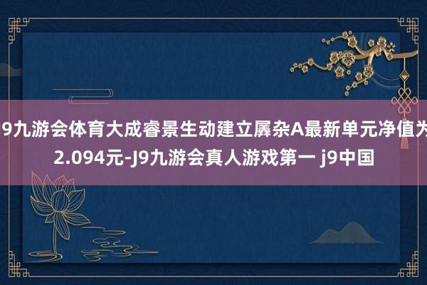 J9九游会体育大成睿景生动建立羼杂A最新单元净值为2.094元-J9九游会真人游戏第一 j9中国