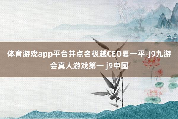 体育游戏app平台并点名极越CEO夏一平-J9九游会真人游戏第一 j9中国