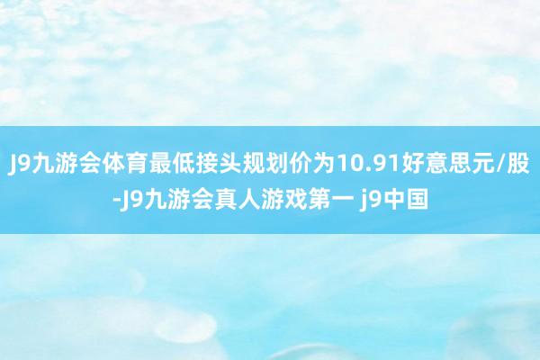 J9九游会体育最低接头规划价为10.91好意思元/股-J9九游会真人游戏第一 j9中国