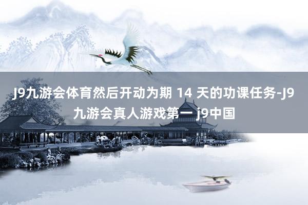 J9九游会体育然后开动为期 14 天的功课任务-J9九游会真人游戏第一 j9中国
