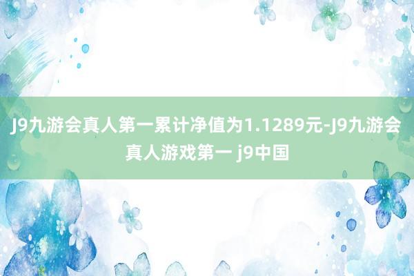 J9九游会真人第一累计净值为1.1289元-J9九游会真人游戏第一 j9中国