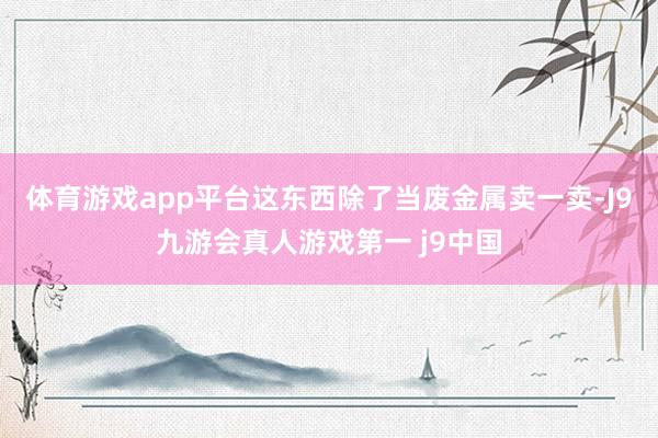 体育游戏app平台这东西除了当废金属卖一卖-J9九游会真人游戏第一 j9中国
