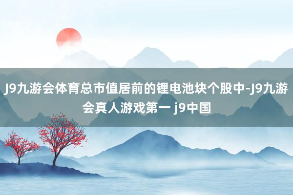 J9九游会体育总市值居前的锂电池块个股中-J9九游会真人游戏第一 j9中国