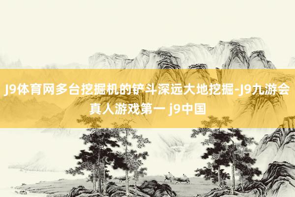 J9体育网多台挖掘机的铲斗深远大地挖掘-J9九游会真人游戏第一 j9中国