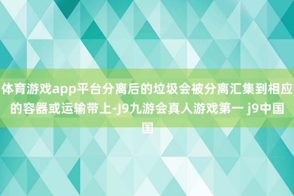 体育游戏app平台分离后的垃圾会被分离汇集到相应的容器或运输带上-J9九游会真人游戏第一 j9中国